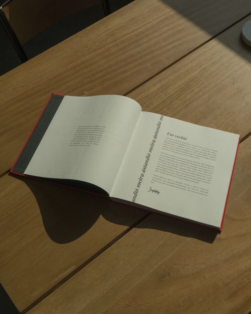 An open Quite the Situation book by Inki on a table.